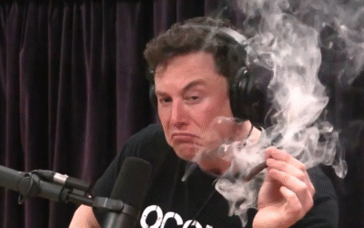 Elon Musk prepara Grok 5