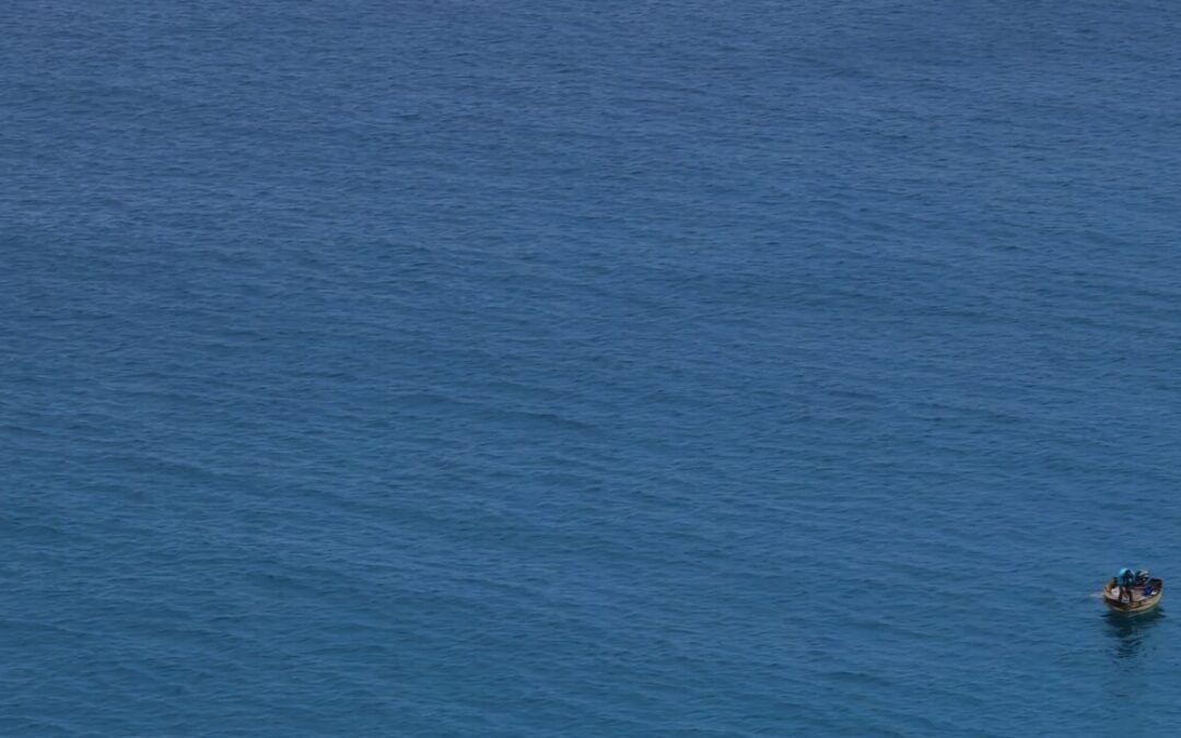 Irlanda avanza hacia la renta universal